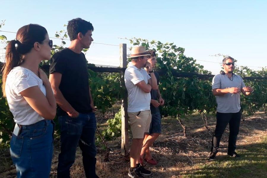 Se conformo un nuevo grupo Cambio Rural vitivinicola para el Departamento