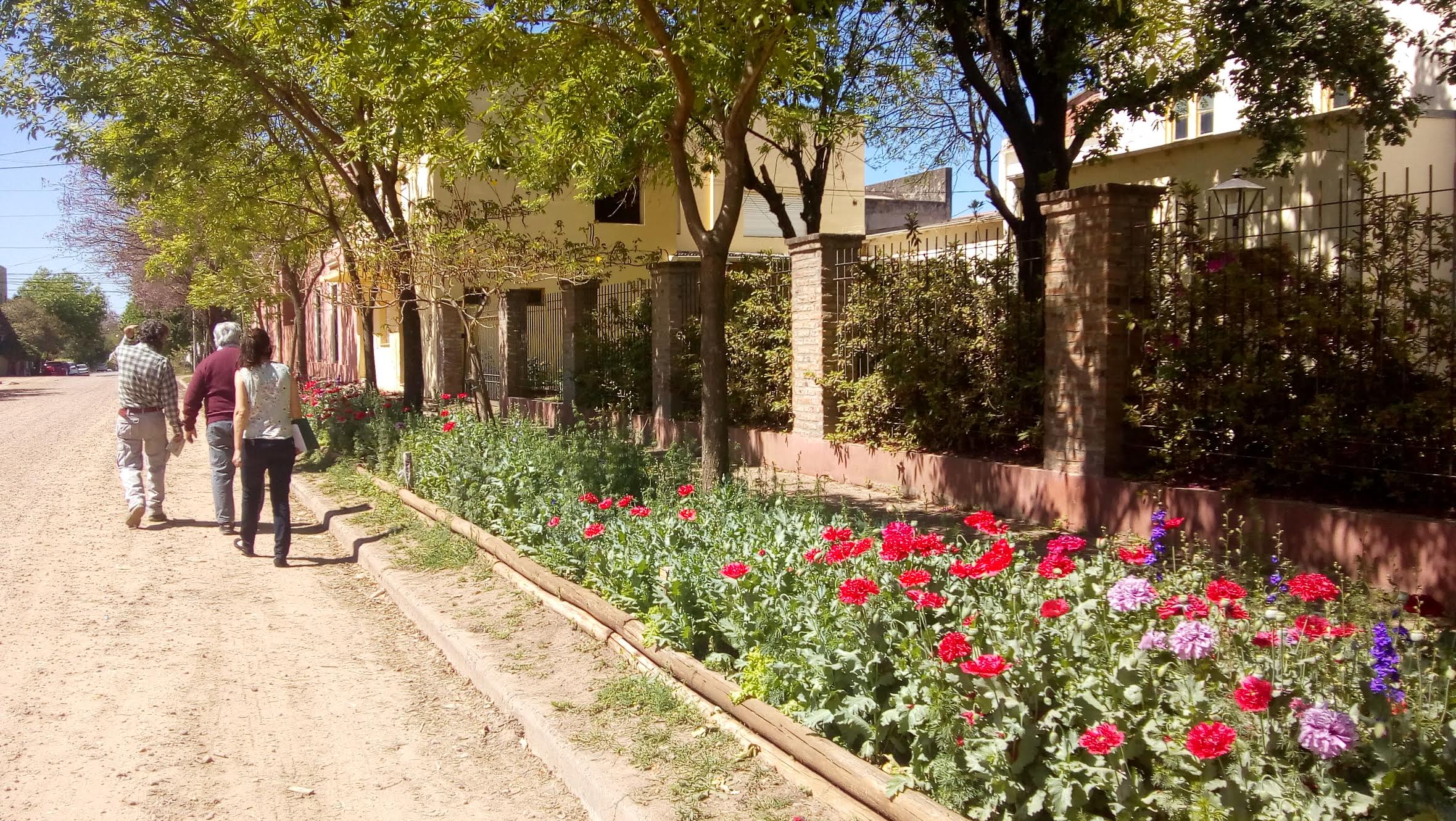 CAT-3-primer-premio-JARDINES-2