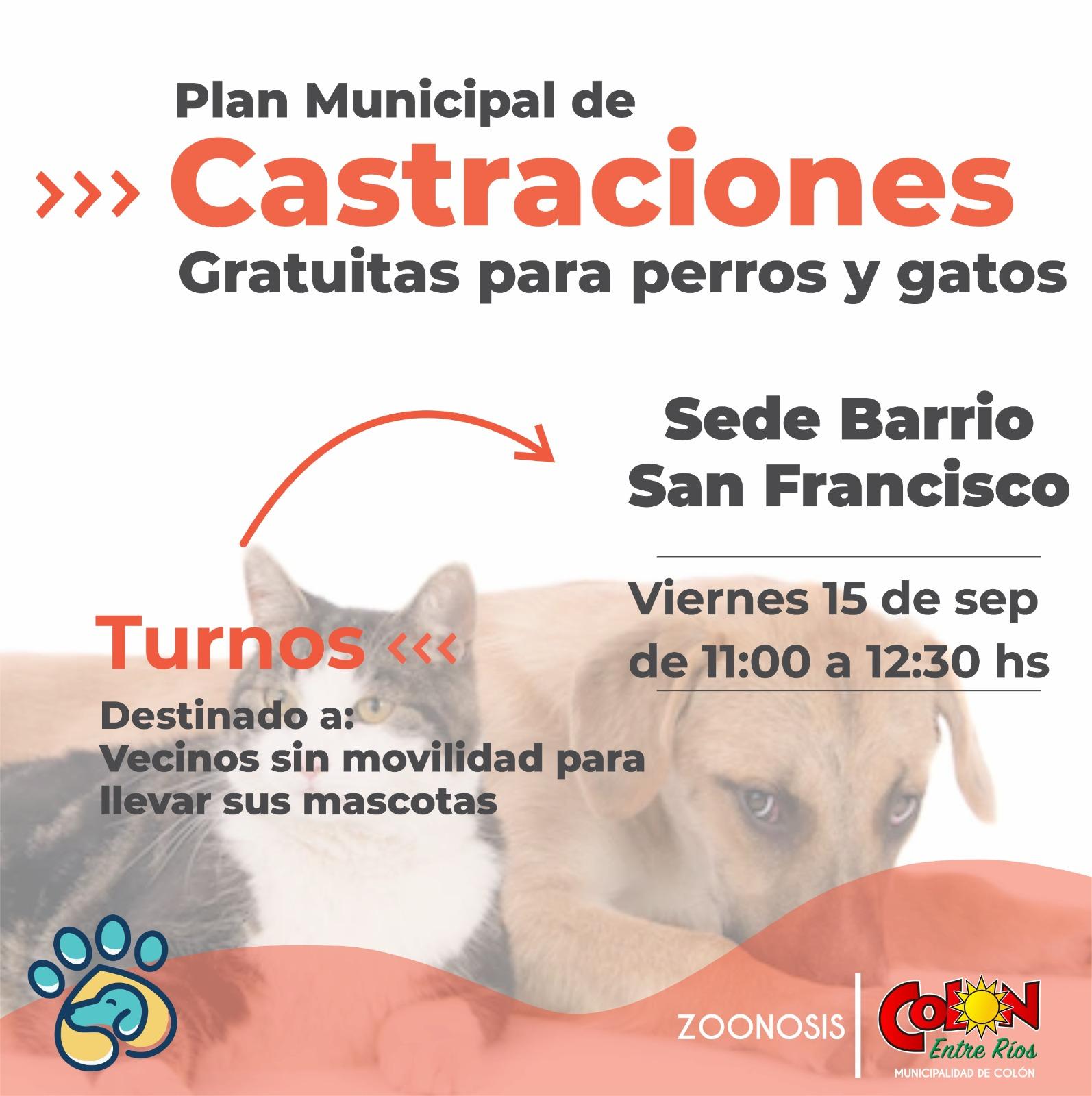 WhatsApp-Image-2023-09-13-at-09.58.00