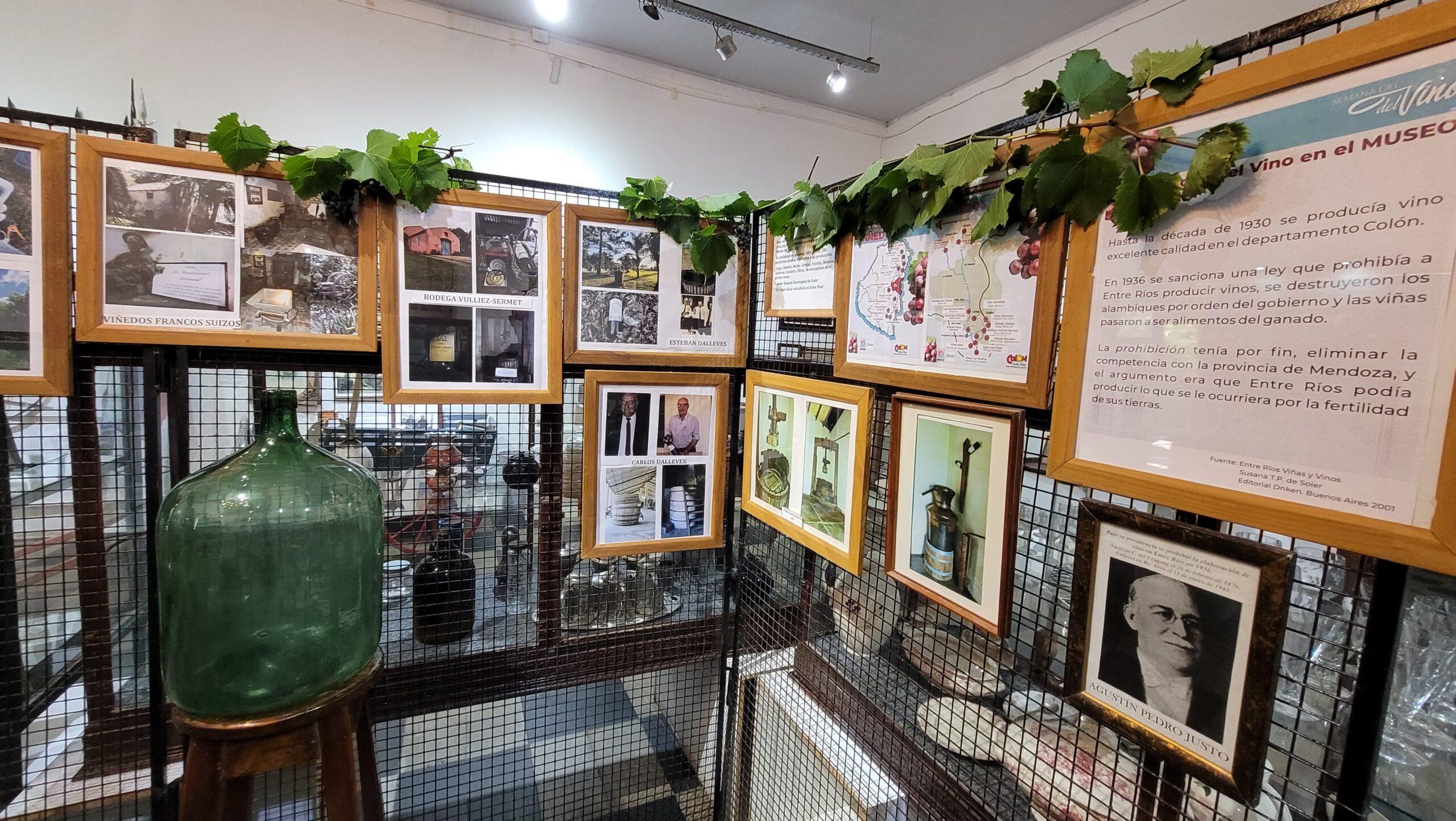 WhatsApp-Image-2024-03-07-at-15.53.51