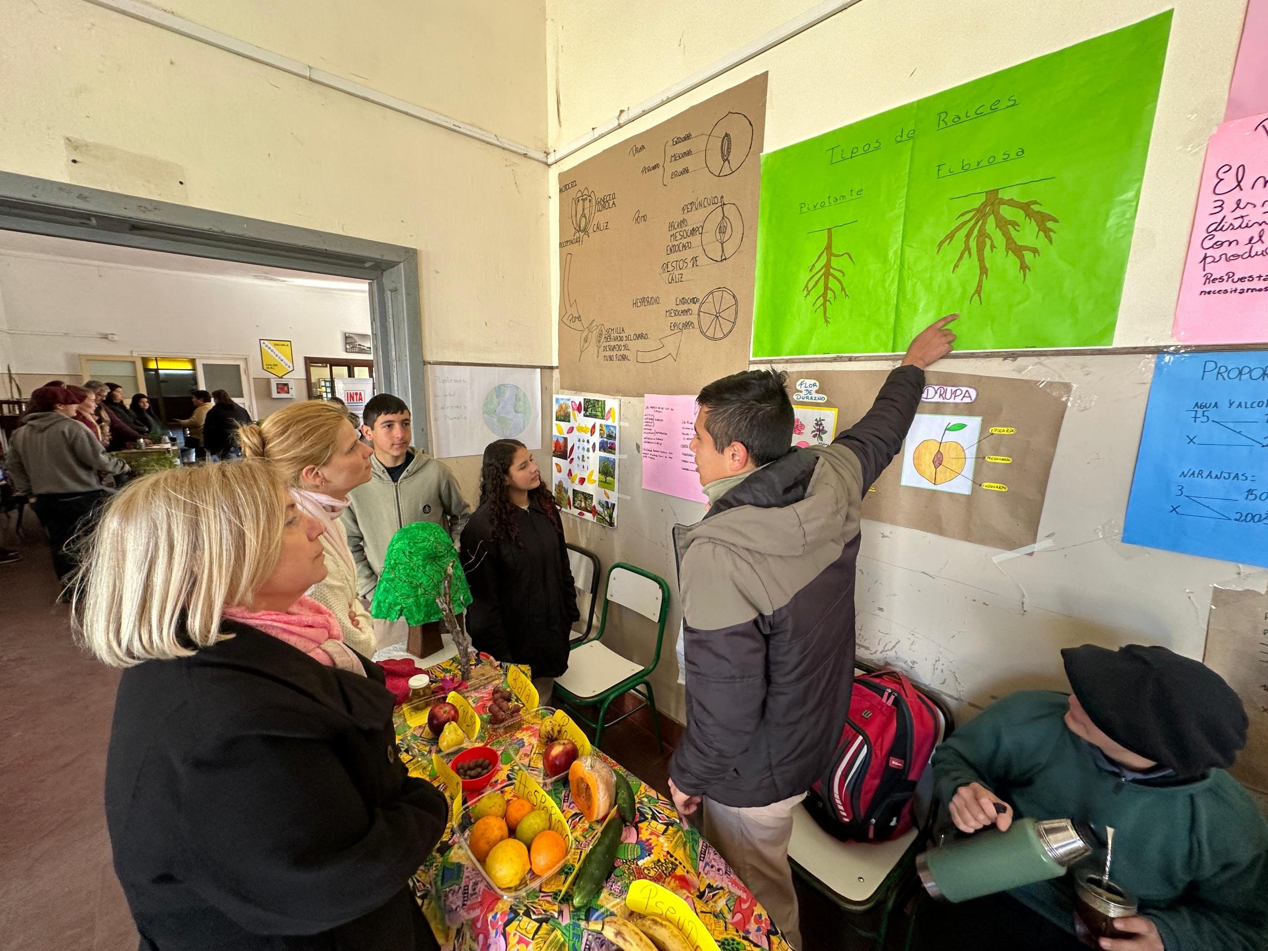 WhatsApp Image 2024-08-19 at 12.29.03