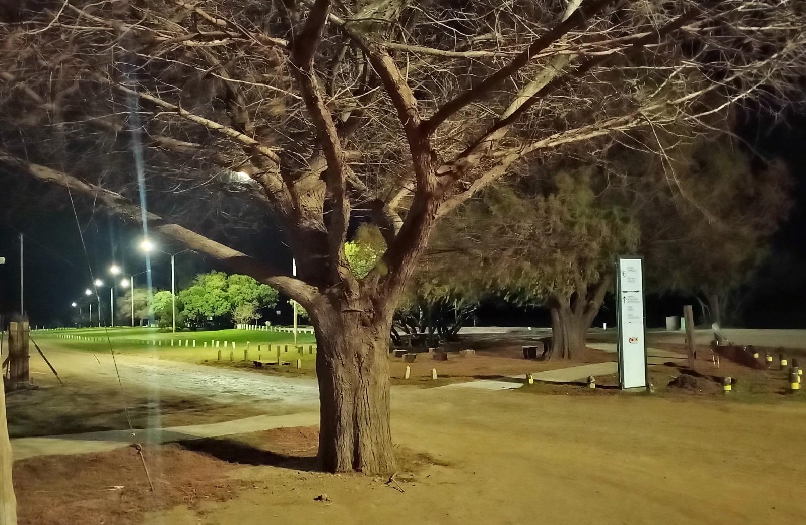 WhatsApp Image 2024-08-21 at 17.49.30