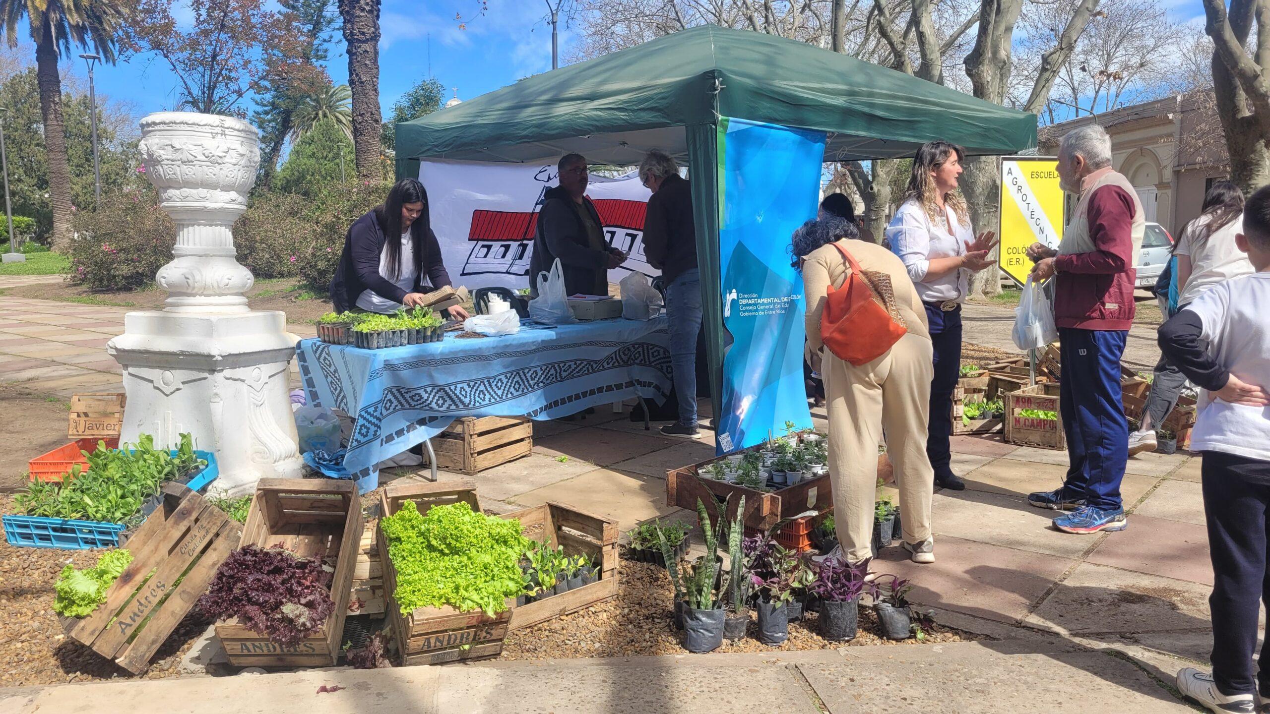 WhatsApp Image 2024-09-06 at 12.09.11