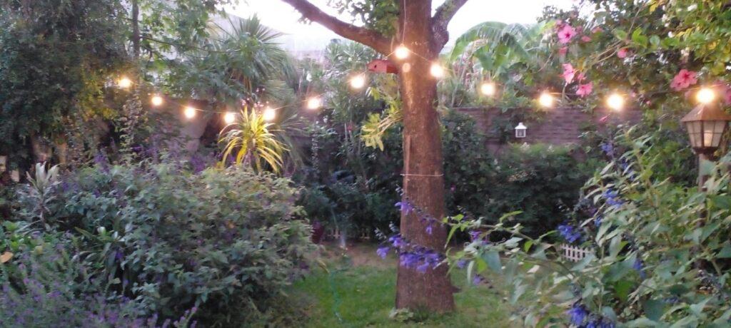 Se conocieron los ganadores del 5º Concurso de Jardines de la ciudad de Colón